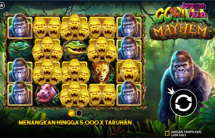 Mengenal Gorilla Mayhem